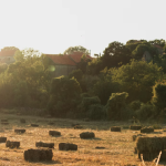 A Importância do Manejo Sustentável do Solo para a Agricultura